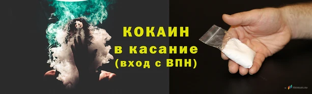 крисы Вязники